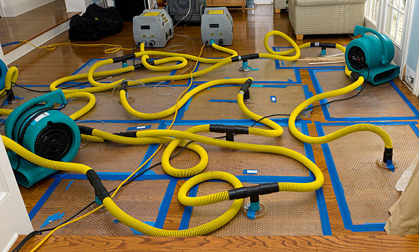 Professional Structural Drying And Dehumidification technician working in Lockeford, CA